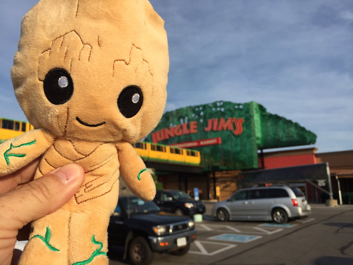 ticktock00's tweet photo. Groot made an adventure to a strange galaxy on his way to @rockontherange. Safety first! #AdventuresWithGroot @Guardians @gofooji https://t.co/jpMMpN758h