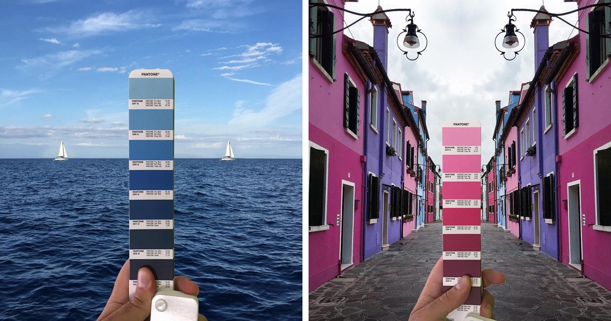 Wix's tweet photo. We totally dig this! ❤️💛💚💙💜

Italian graphic #designer @stailuan finds #Pantone #colors in natural landscapes
https://t.co/Lgm2waDgkT https://t.co/OuyDbBVKaa