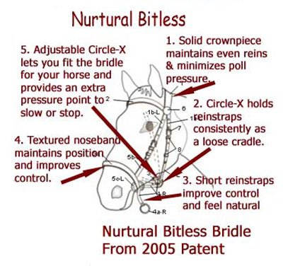 CircleXnurturaL's tweet photo. What is a Bitless Bridle? https://t.co/XyXFeaQaTc #BitlessBridle #NurturalBitless #TrainYourselfFirst https://t.co/6hjogv25e6