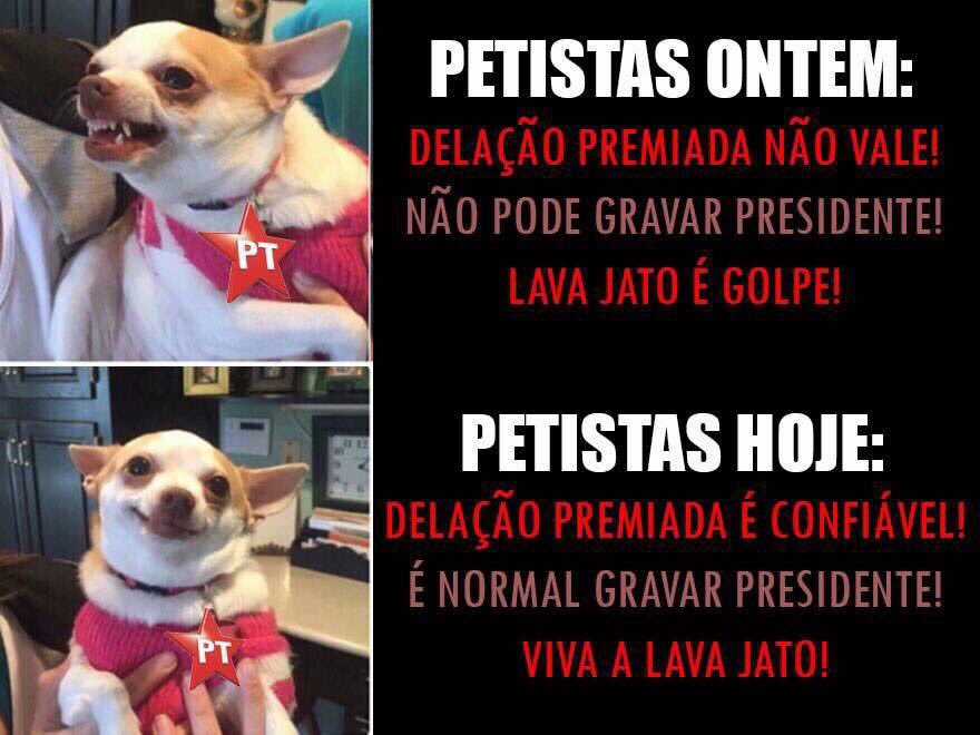 GeizeStella's tweet photo. Incoerências da pelegada.
Inacreditável como Ñ conseguem sustentar seus discursos.
Votaram em 2 presidentes que caíram! #ARepúblicaGrampeada https://t.co/7qQ2ZQ9iv8