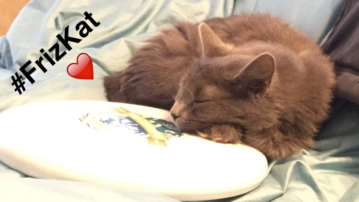 kumitron's tweet photo. @libslehman @tinyJeffrey @Notorious_CLE Just because I still have this on my phone and I miss her and you guys... https://t.co/PZ8yag88Xd