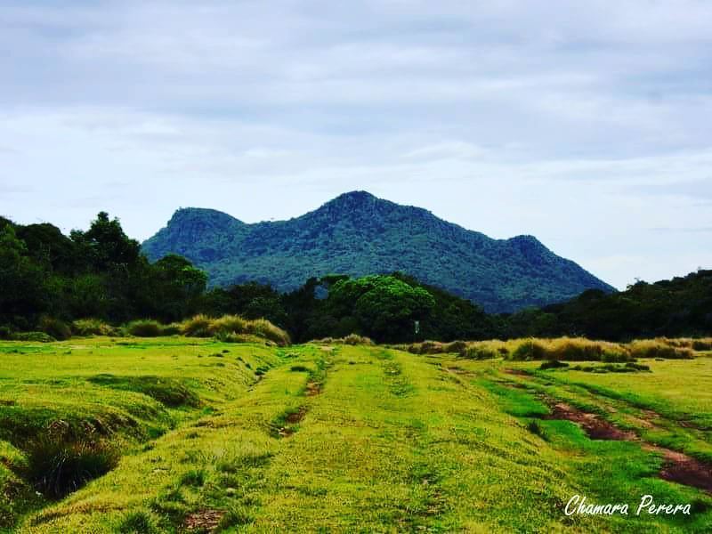 _Travel_diaries's tweet photo. Agra bopath mountain 
#travelsrilanka #mountain #mountainview #wanderlust #wandersrilanka #travels #instagood #igtravels #wanderlusting #wa… https://t.co/aD7our4nAZ