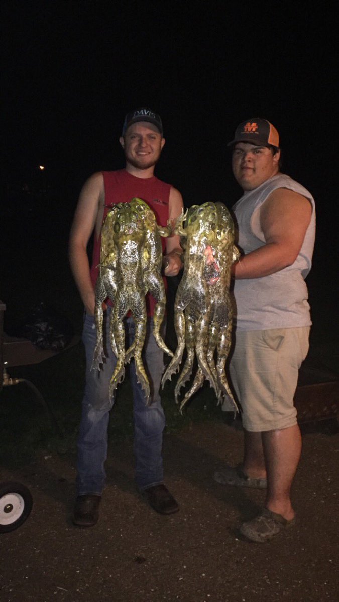 shane profitt (@theshaneprofitt) on Twitter photo How many retweets do I need to get for you to come frog gigging with me? We can do the whole thing live on here <a href="/cjmarczak/">Dr. Chris Marczak</a> How many retweets do I need to get for you to come frog gigging with me? We can do the whole thing live on here <a href="/cjmarczak/">Dr. Chris Marczak</a>