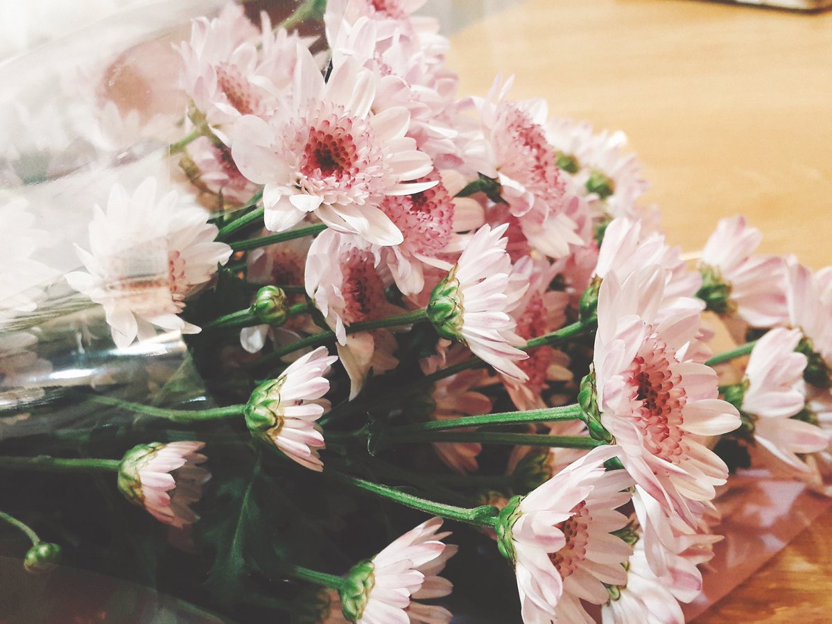 Oreo (@uda0105) on Twitter photo 