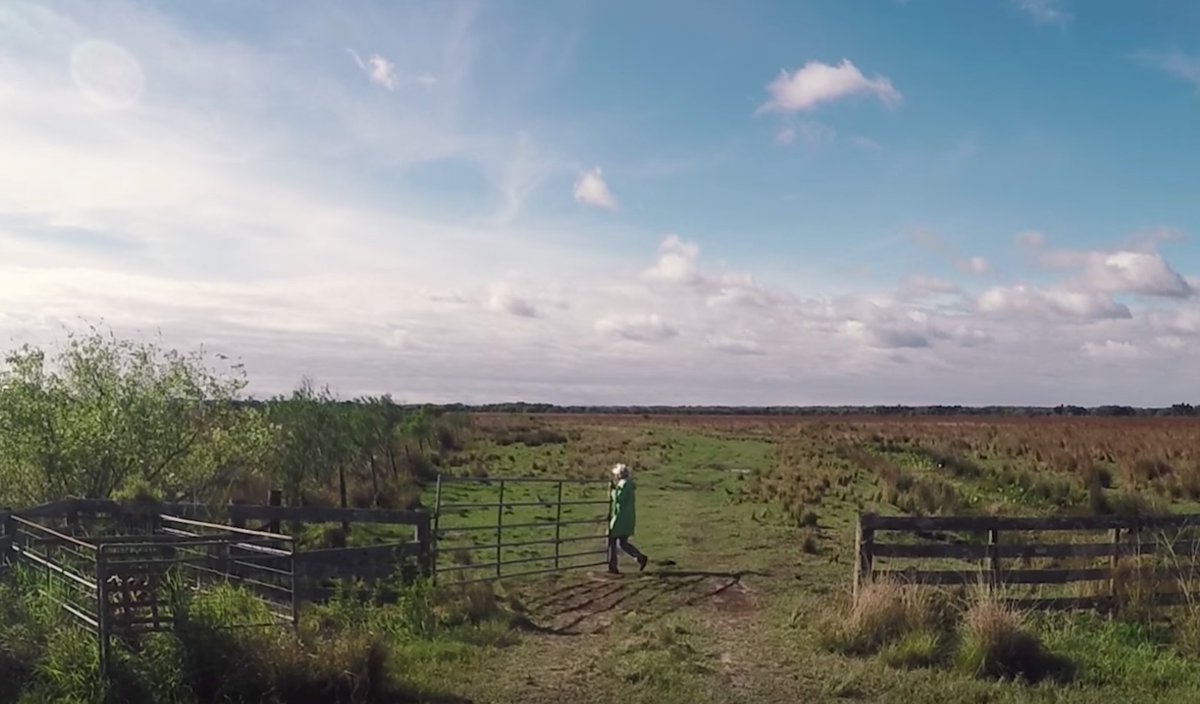 Revkin's tweet photo. You know one Florida, probably not the other. Great @pacedocs #envirodoc! https://t.co/S18BnLdAbX https://t.co/4TokzwpBvl