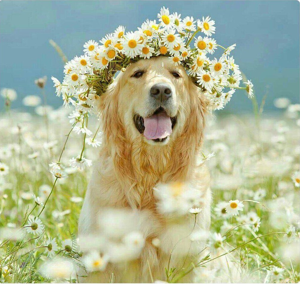 Günaydın güzel insanlar 🌼🌼🌼🌼☀️☀️