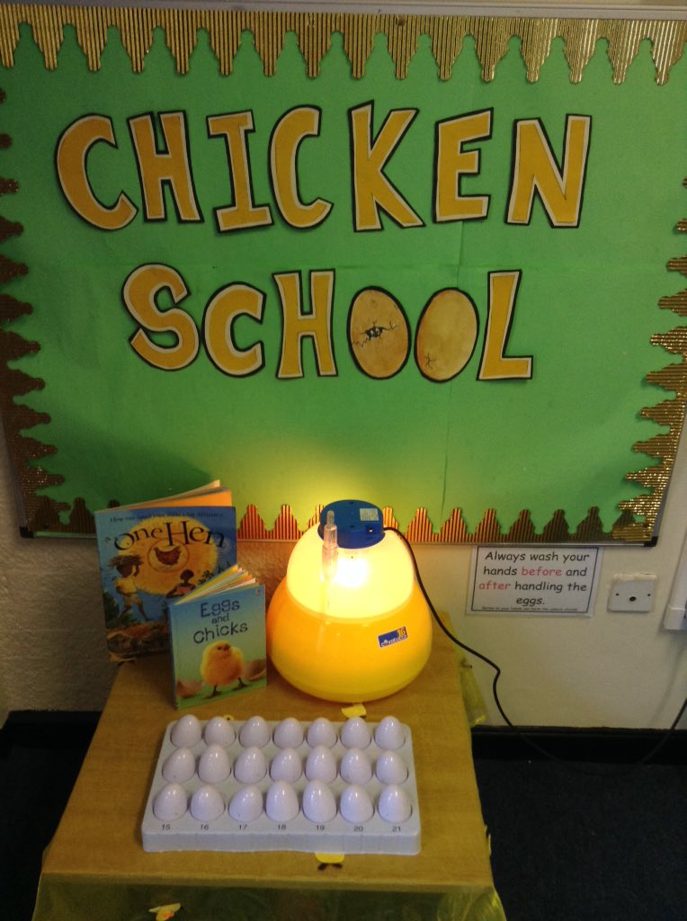 St_MariesY1LO's tweet photo. The eggs have arrived in Y1!! 🐣🐣 #chickenschool https://t.co/OOQ1EGgmH3