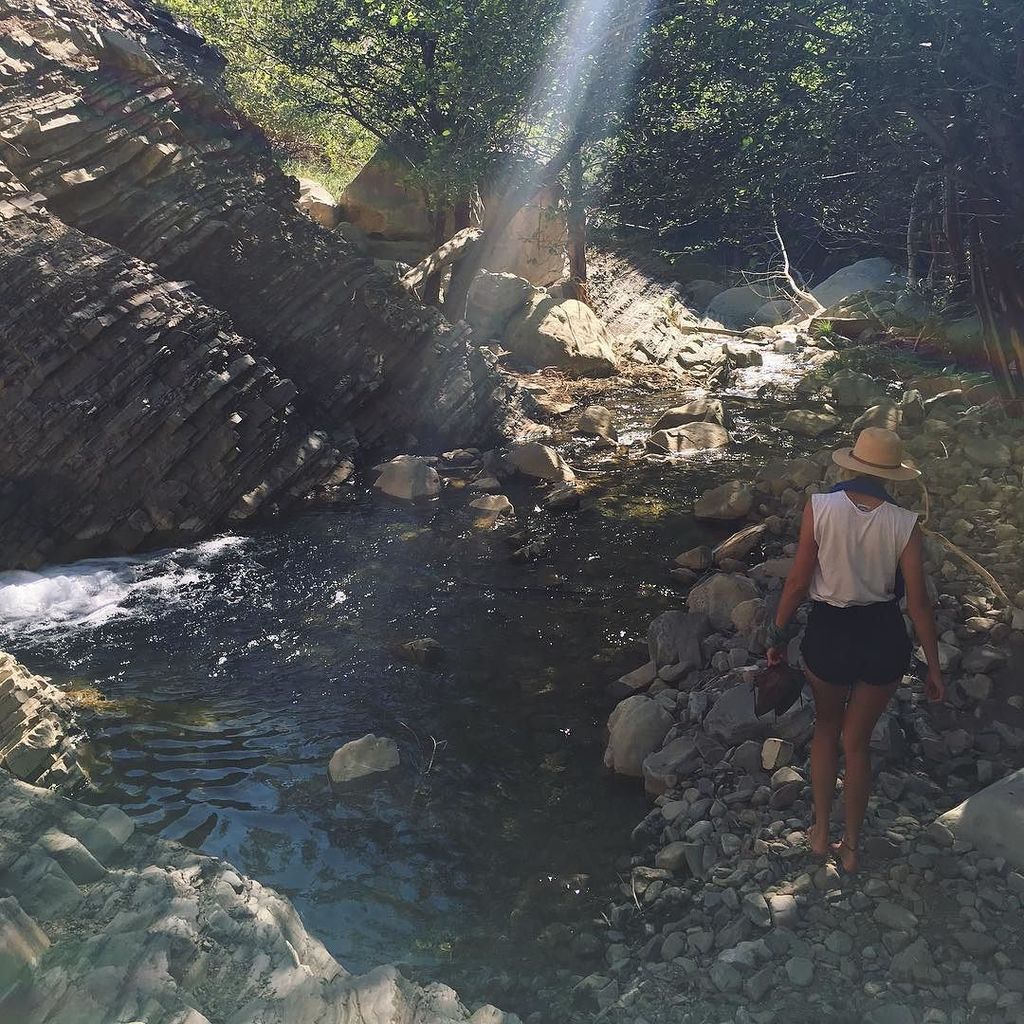 Lucy Fry tweet media