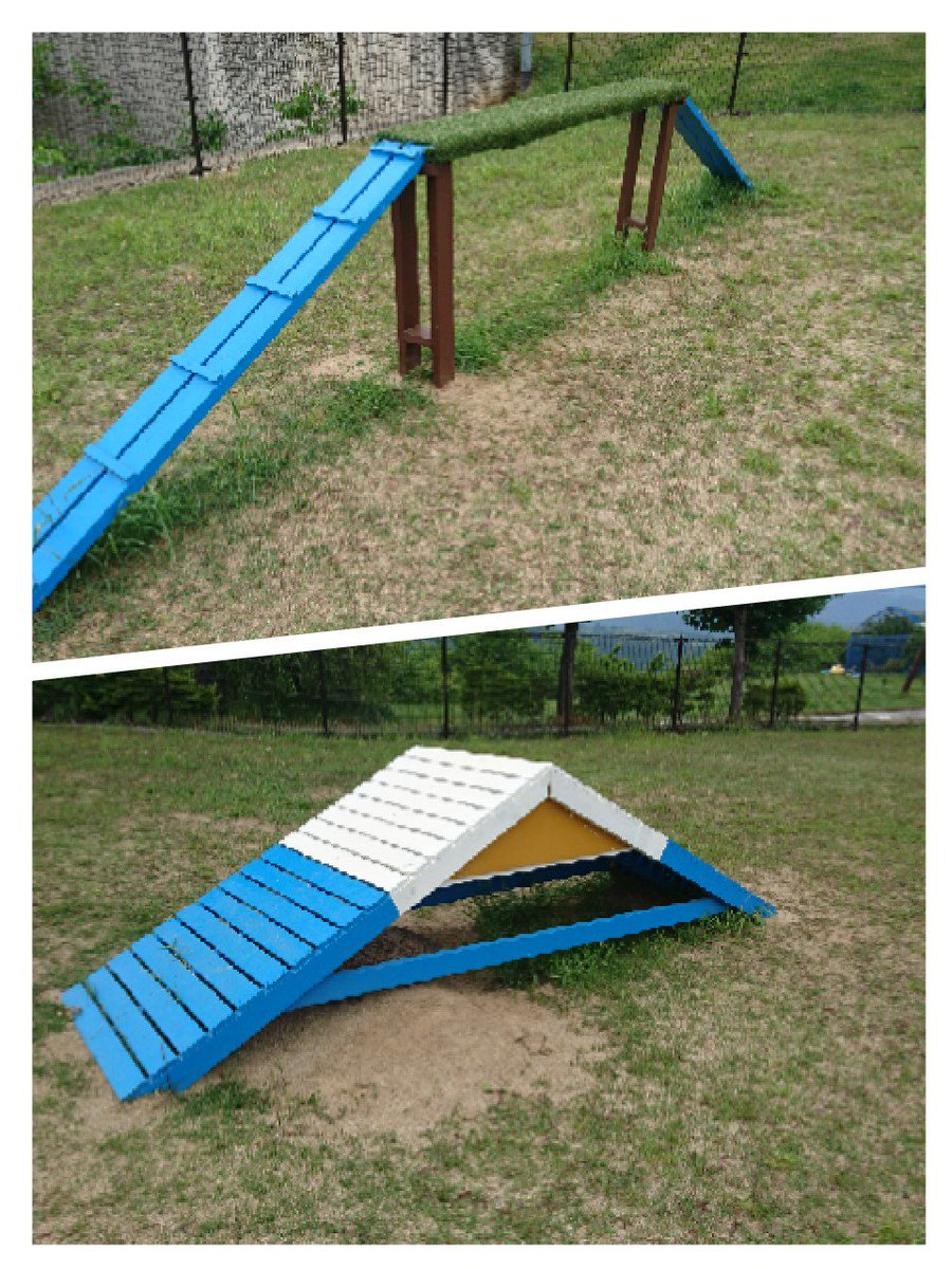 ゆかっち 昨日は笛吹川フルーツ公園にあるドッグランへみるくと ここは登録制のドッグランです いろいろ準備して行きました 結論 うちの犬は遊具不要 ﾉｪ それを避けて走るという 平日だったからか他にわんこがいなくて 独り占めでした ˊᵕˋ