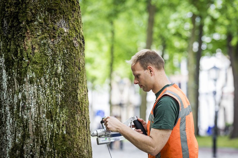 PaulBoeters's tweet photo. De komende weken krijgen zo’n 8.000 iepen in #denhaag een prikje om ze te beschermen tegen de iepziekte. Meer weten? https://t.co/W33xTcqVqQ https://t.co/IvLs1WQtgY