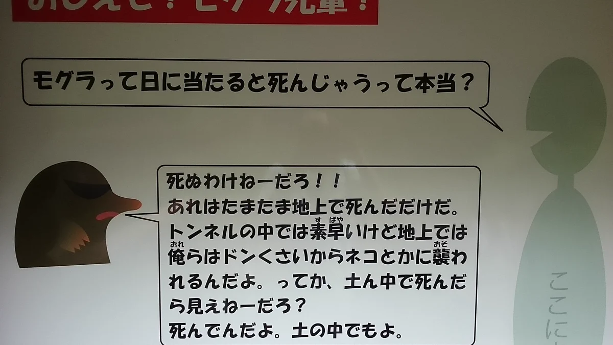 モグラってこんな喋り方なの？ww多摩動物公園のモグラ当たり強すぎww
