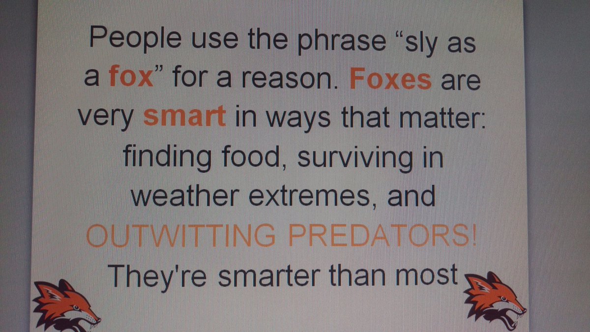 FlyingfoxesUoB's tweet photo. @FlyingfoxesUoB #TeamBradFest https://t.co/P4cZSAO96R