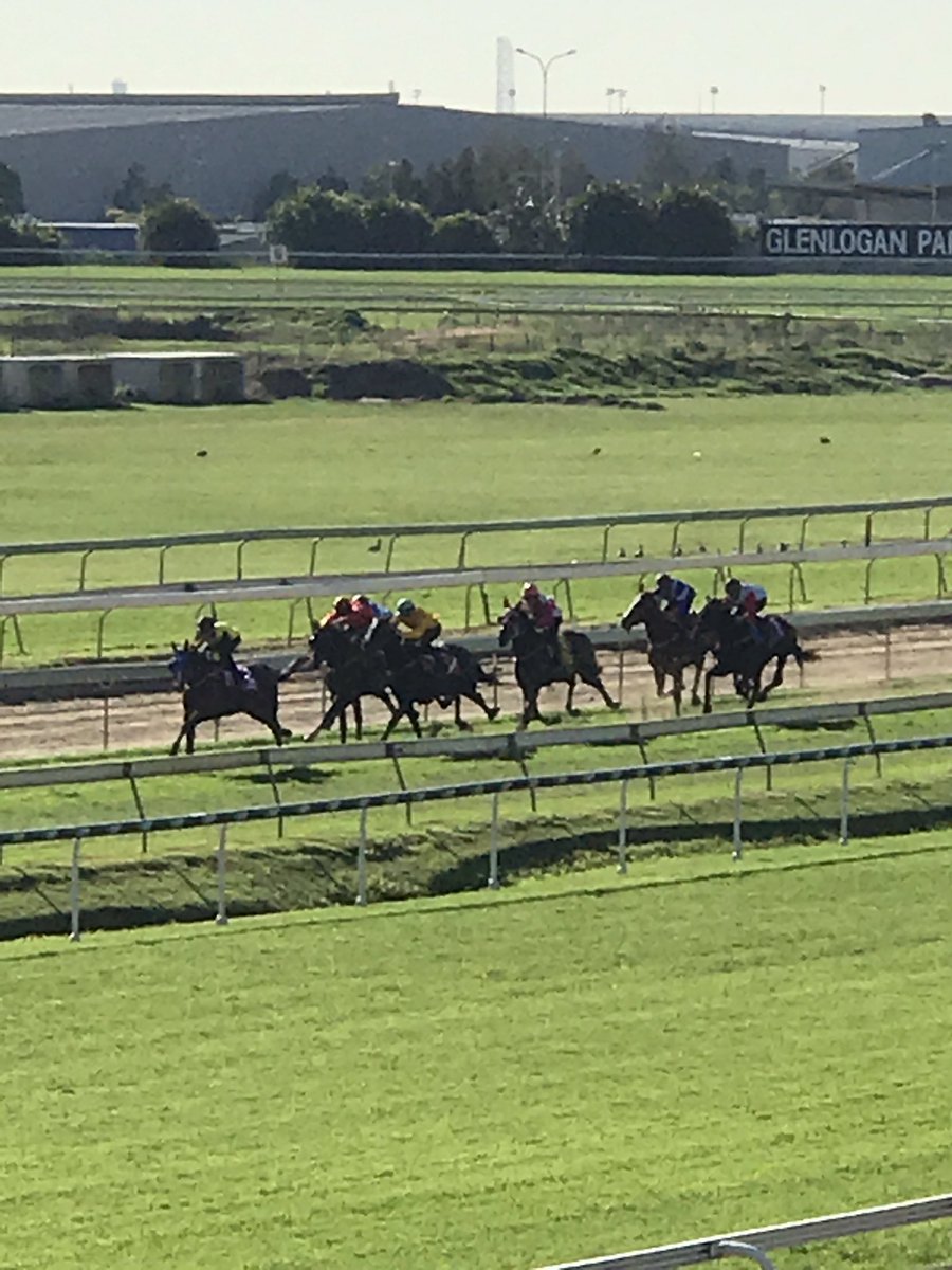 EQPAY's tweet image. Good to see trials back in Brisbane as our EQPay team looks on! #brisbane #racing #bneraces #trial #horse #HorseRacing #queensland