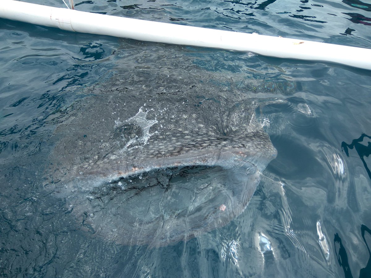 3 hari lalu di Gorontalo