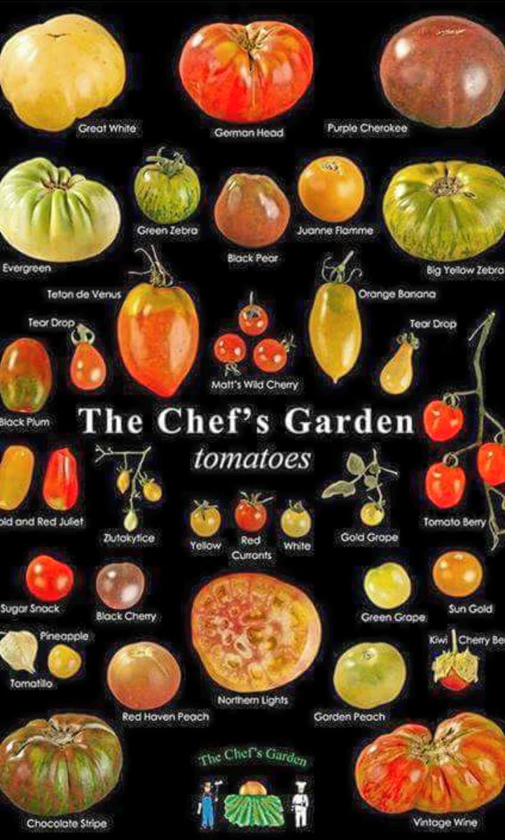 RobertN34336926's tweet image. #nicechart #tomatoes #growinproduce #lovingarizona #inittowinit #Godfirst #foodies