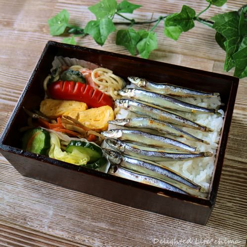 柴田美咲 Twitter Search