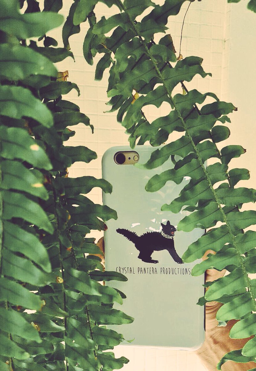CrystalPantera's tweet photo. Crystal Pantera Productions in the jungles of Rio de Janeiro 😸🎥🎬📽🎞🇧🇷#movies #riocontentmarket2017 #productioncompany https://t.co/WGO4NbPI2b