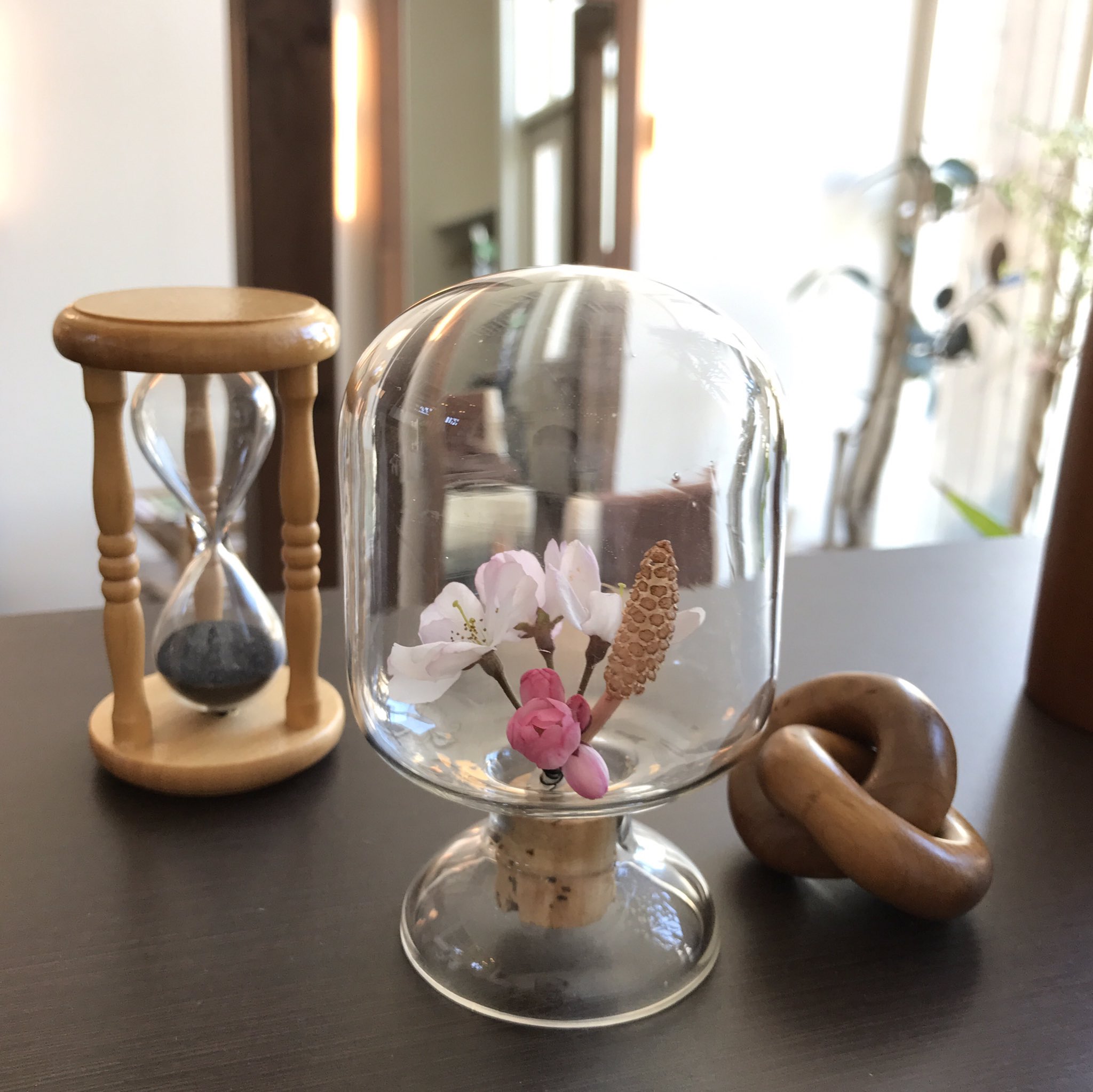 ふらっフィー Twitter Search Twitter