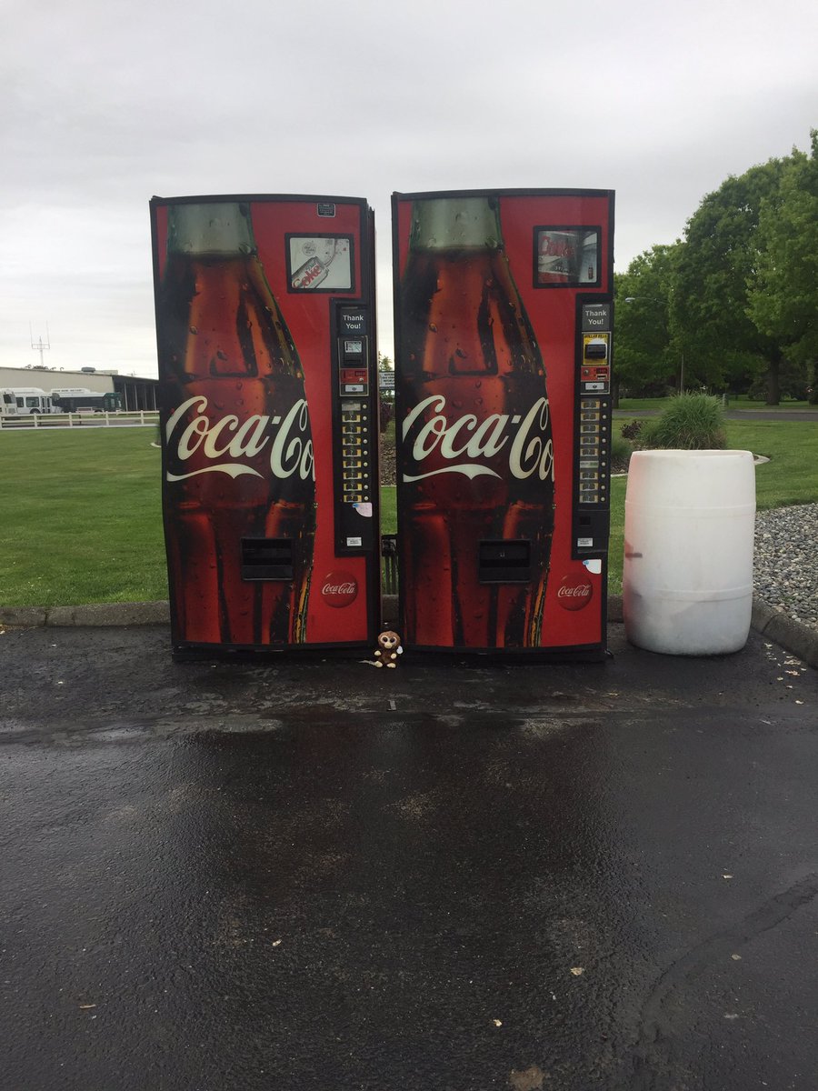 Purple Monkey tweet media