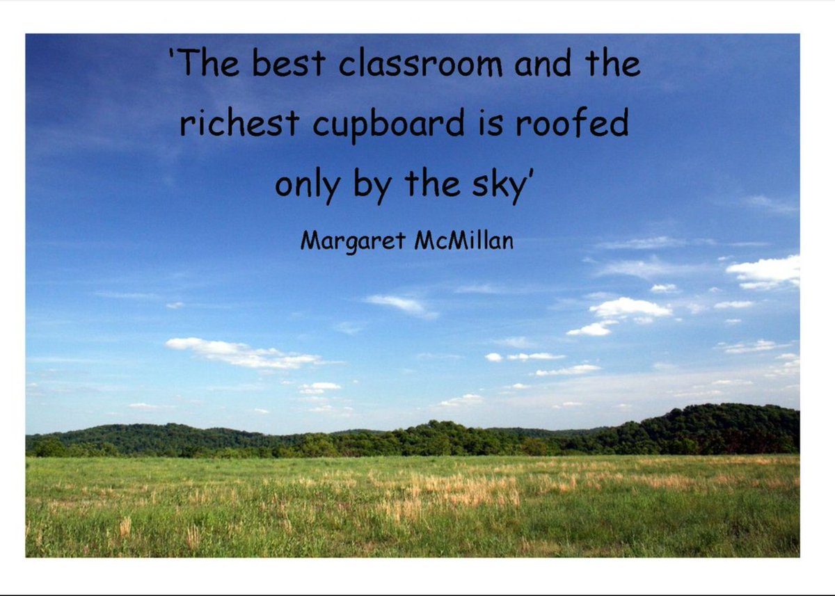 pinesredgate's tweet photo. Happy #OutdoorClassroomDay We hope everybody has a wonderful day learning outdoors 🌳🍁🐞🐜🐛🐌 https://t.co/TbEm1UhpPI