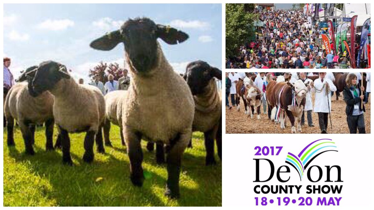 HalbertonCourt's tweet photo. RT @GreatDevonDays: Bright blue &amp; sunny ! Perfect for farming fun @DevonCountyShow - see you there 🐏🐇🐆☀️👍 https://t.co/gOoAtNsYaI