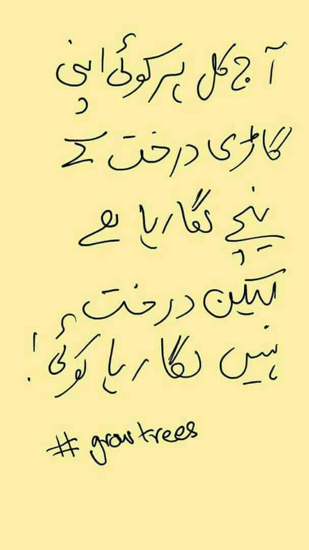farazuberi's tweet photo. #LetsGrowTrees
#Karachi https://t.co/rYspJUFYoh