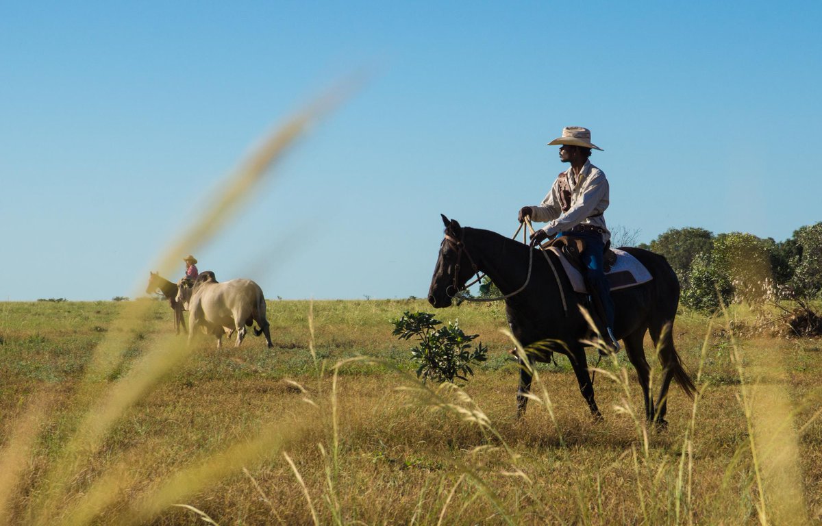 ABC Landline tweet media
