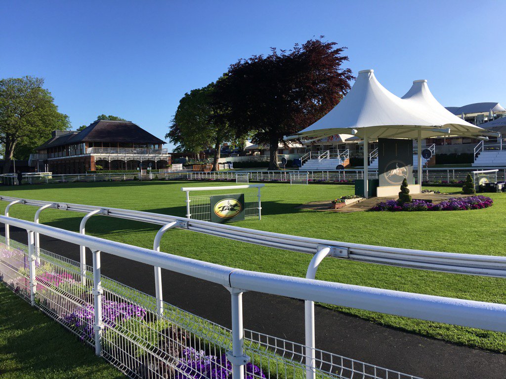 Tarka2402's tweet photo. After the deluge yesterday it's a stunning morning on the Knavesmire https://t.co/d0RTmldo4y