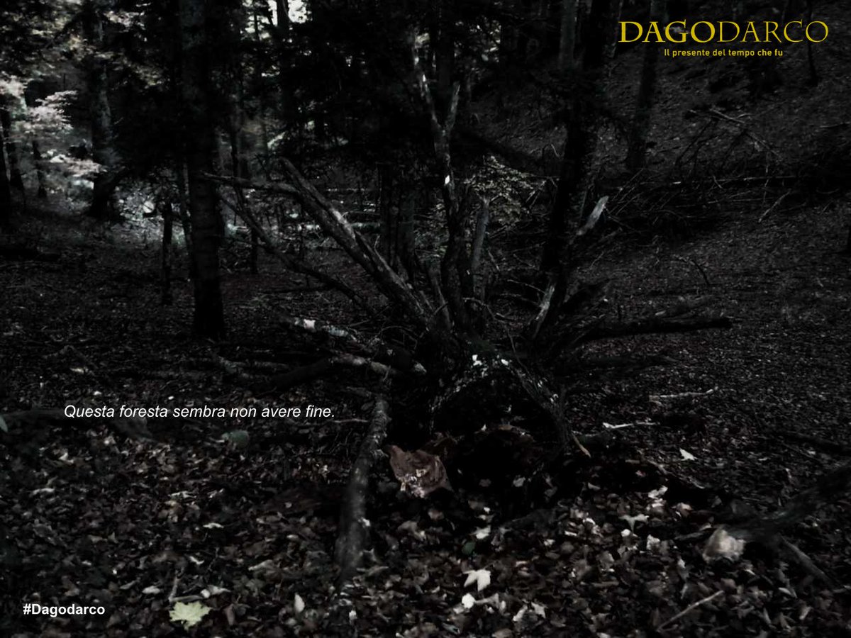 Dagodarco's tweet photo. #dagodarco https://t.co/AuN5ehfzSu