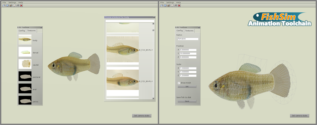 Steffi_Giersz's tweet photo. 🐟🎮Using #computeranimated #fish in #animalbehaviour #research? Check out #FishSim, including some gorgeous mollies! https://t.co/ZHpSRnNLGb https://t.co/ijuA4LOruz