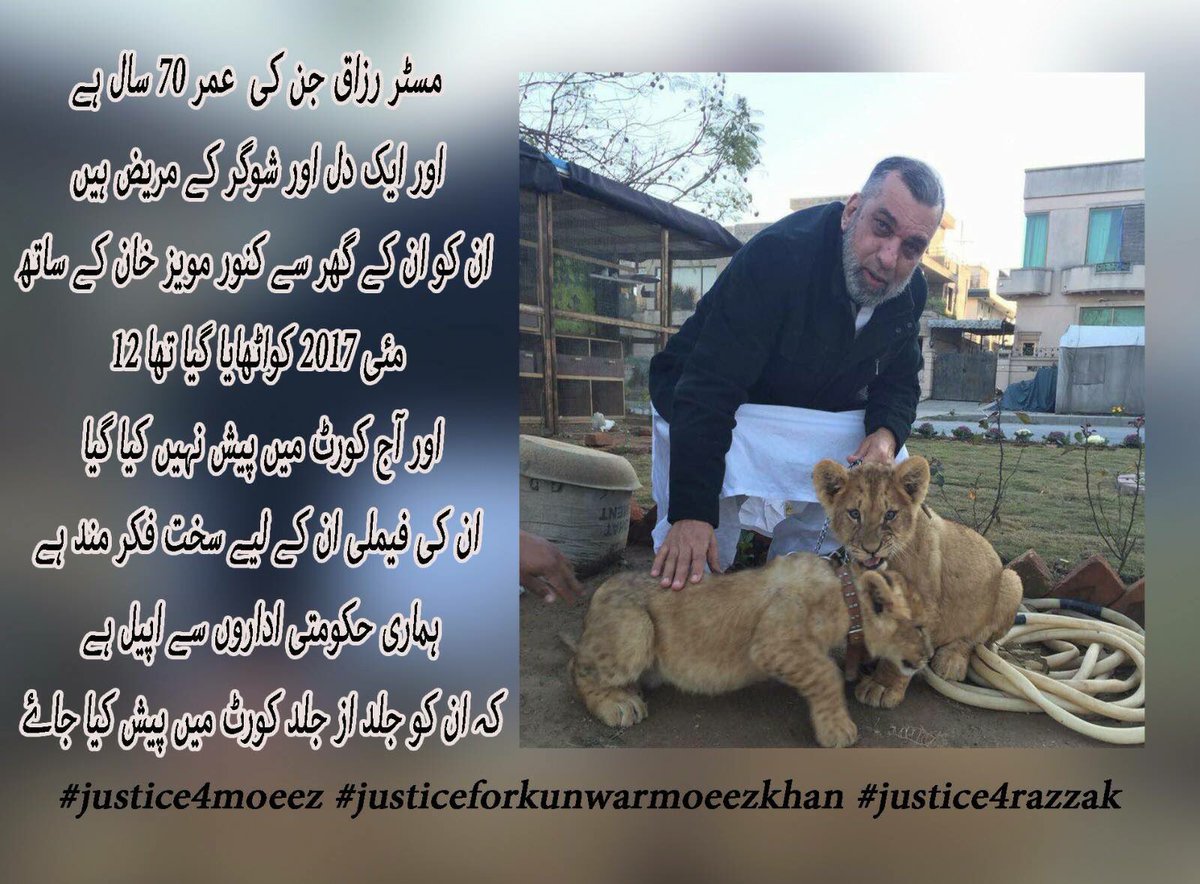 This Is Pakistan tweet media