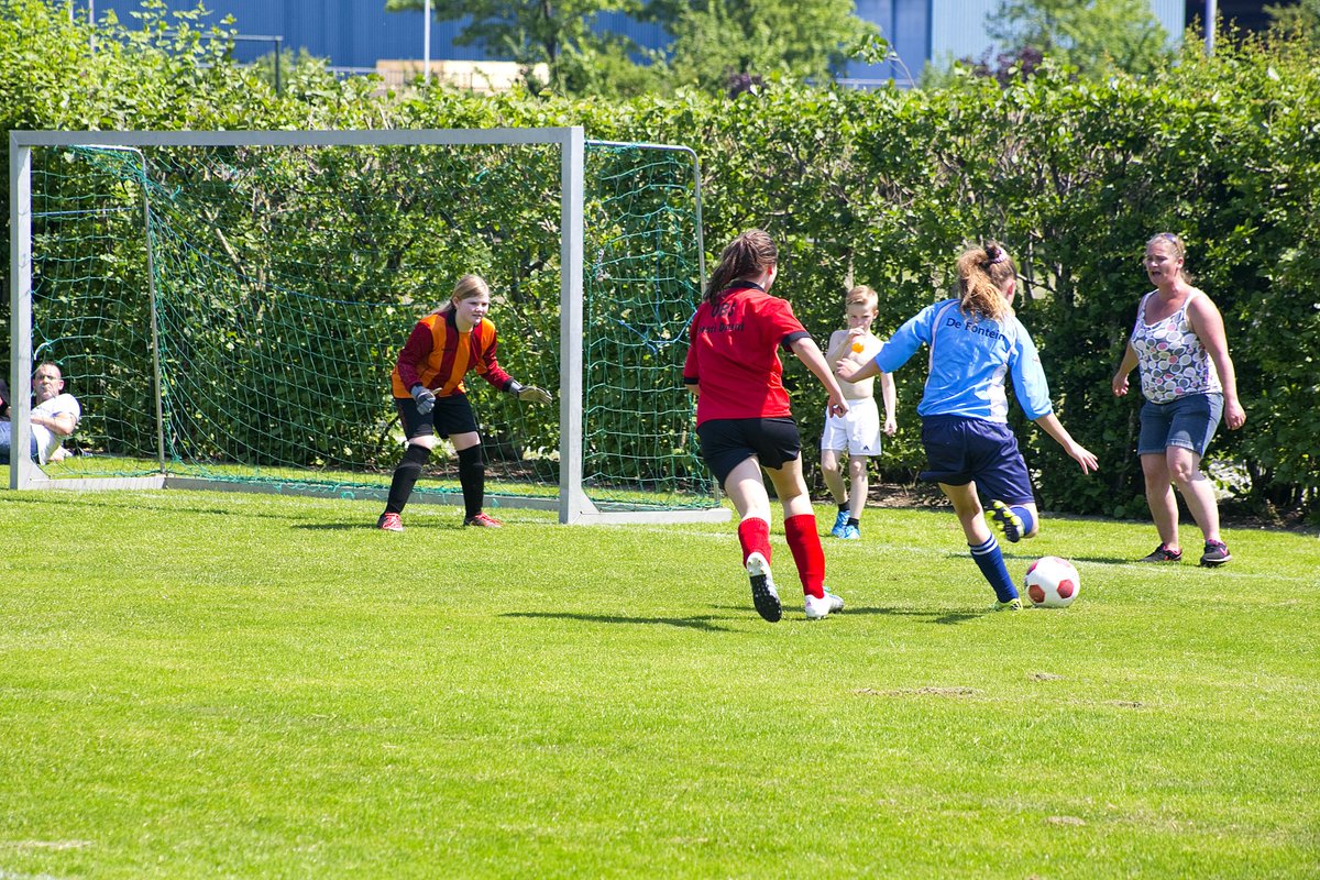 De meiden van De Fontein zijn kampioen van de regio! destemvandordt.nl/nieuws/algemee… #Dordtenaren