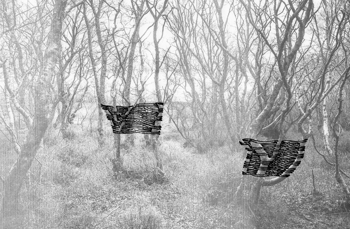 NatsHolbrook's tweet photo. Next up is Conservation Horizon new artwork being installed at Lenzie Moss as part of Inside Lane Art Protect with @artwalkporty #insidelane https://t.co/8VnU4VeR8y