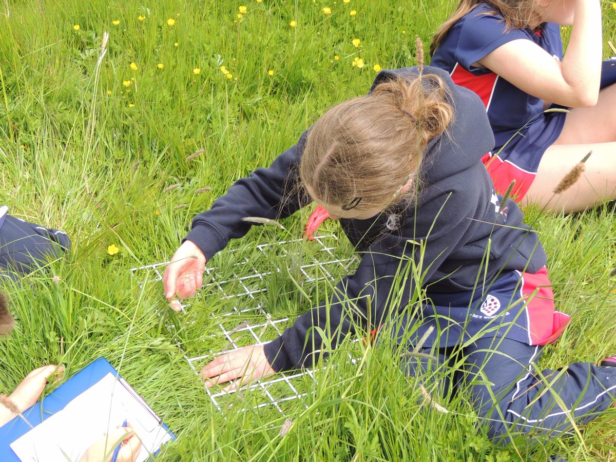 KingsStAlbans's tweet photo. Great weather today for this afternoon's #science week visit to #ChapterMeadows and perfectly timed for #outdoorclassroomday too! https://t.co/mHSLS9rhLo
