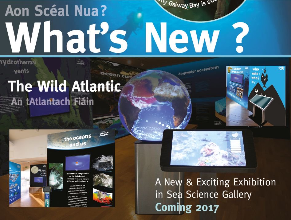 Galway City Museum tweet media