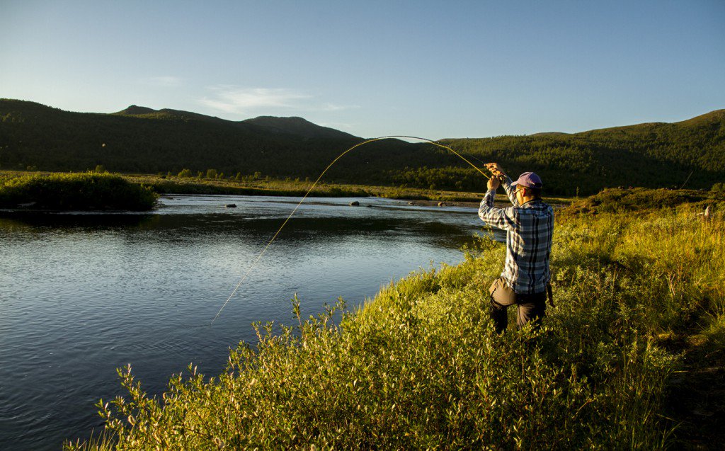 fishprep's tweet image. Priceless moments.
fishprep.com