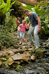 EvenementenNederland tweet media