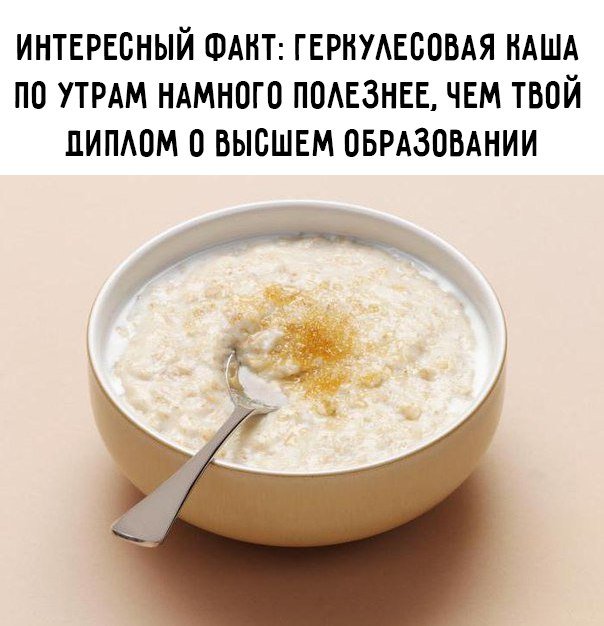 StudOtvet (@studotvet) on Twitter photo 