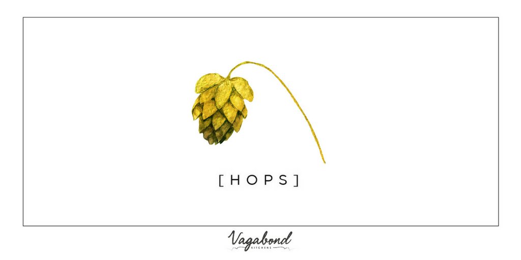 Hops; they are used primarily as a flavouring and stability agent in beer, to which they impart bitter, zesty and citric flavours.
