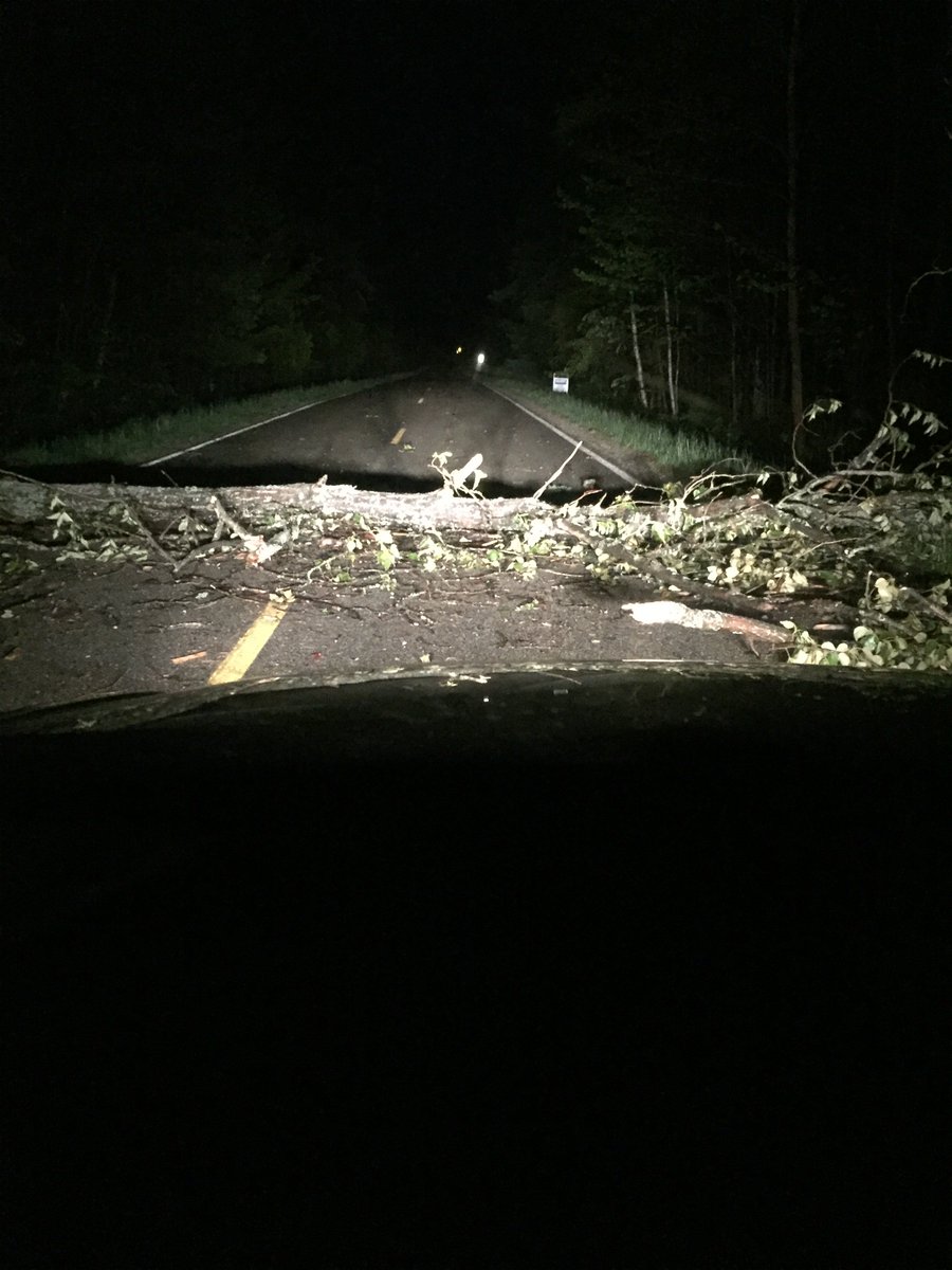 slojo444's tweet photo. Ummm.....yeah....didn't see this until the last second. #tree https://t.co/hz4sBFN2XH