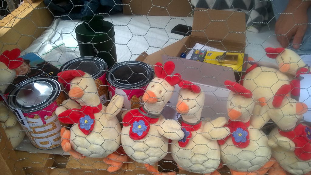 Koop happy kippen en chocolade bij Sjors <a href="/Fellini/">Fellini</a> #freeagirl