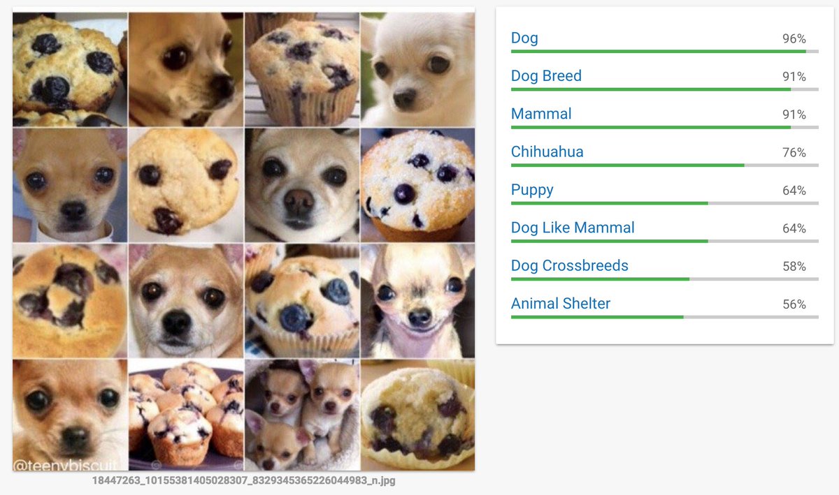 andonians's tweet image. While impressed by #GoogleCloudVisionAPI and #AWSRekognition, this is a difficult one .... #GoogleVisionAPI @drfeifei @_yotam_