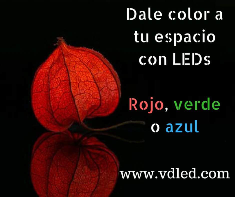 Vdled (@vdledvigo) on Twitter photo 