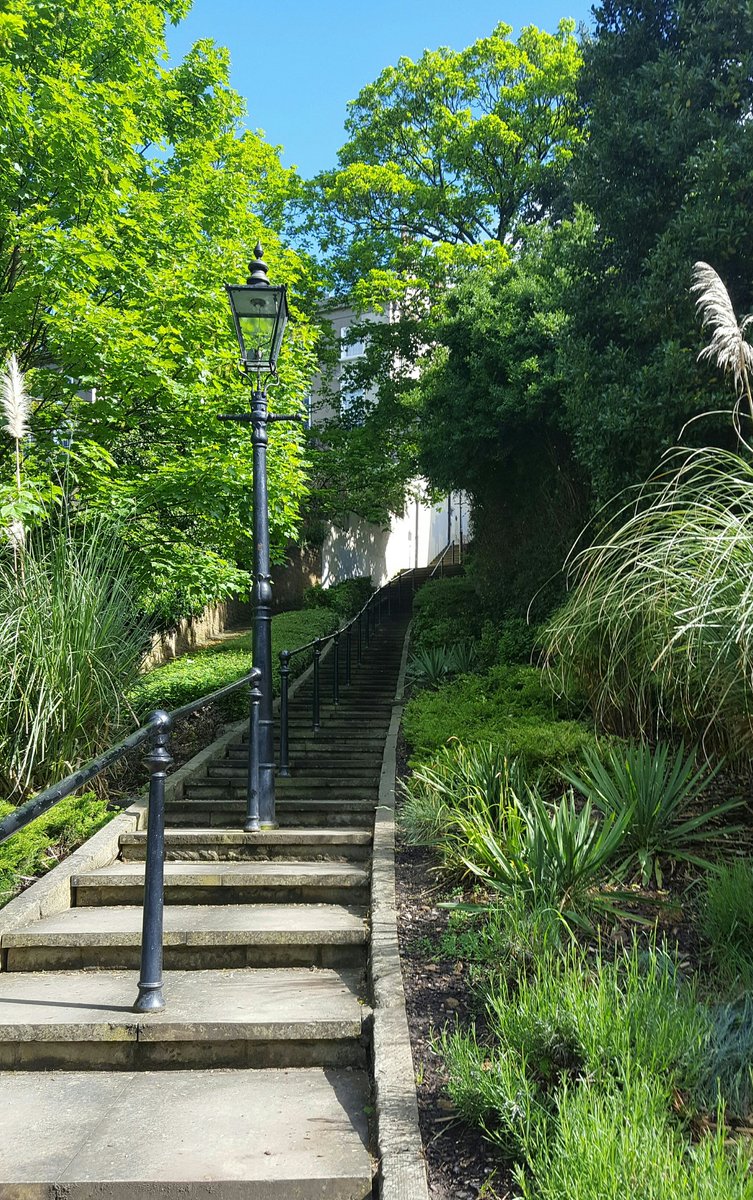 ParkGardenTrail's tweet photo. Wow!  Park Steps  this morning in this wonderful sunshine l https://t.co/Zj8b8NejMf