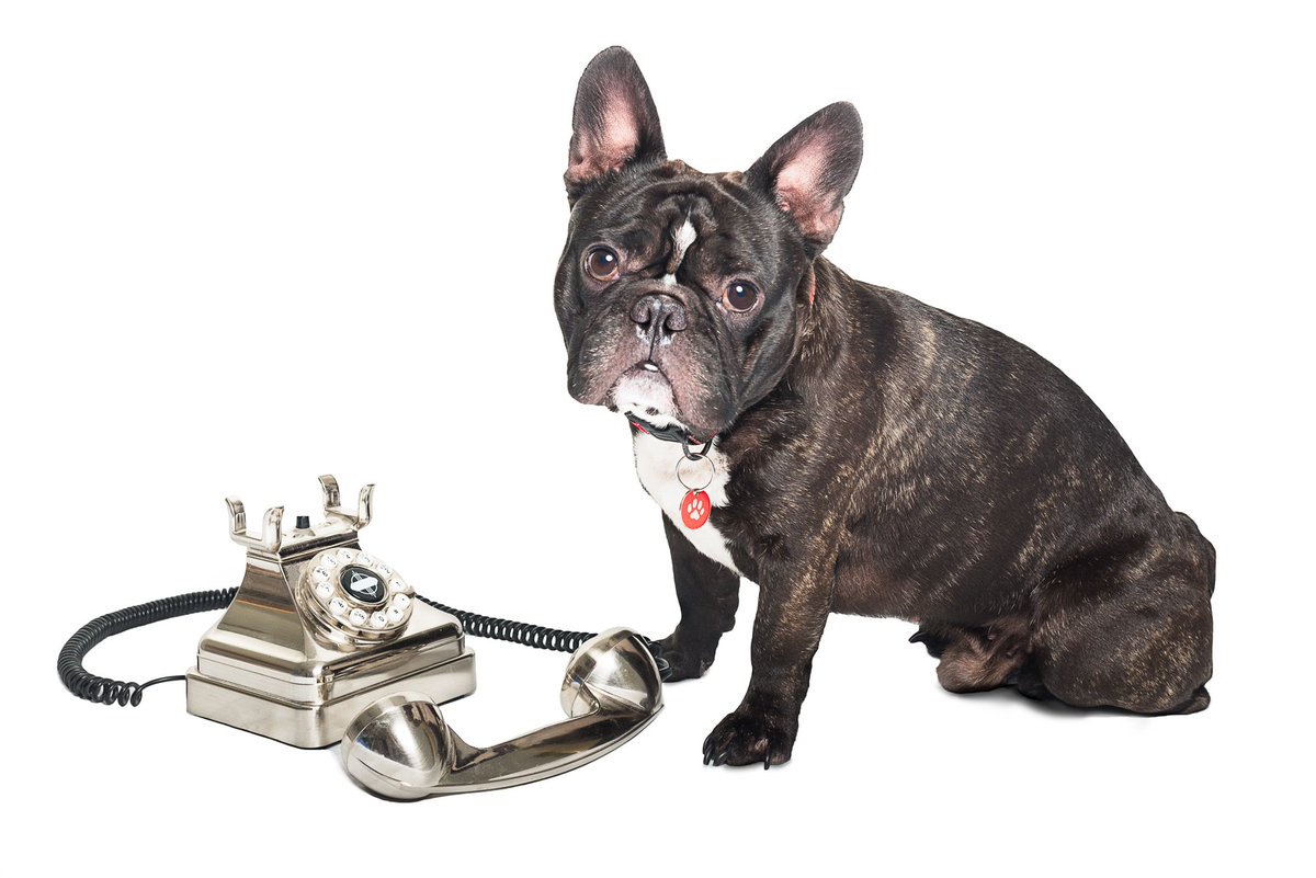 Landlords can now manage their Utilities on Line
and its free!!!

Visit manageyourutilities.com

#landlords
#Yorkshire