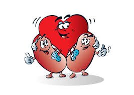 Karleigh_7's tweet photo. A transplanted heart can last up to 13 years and a kidney can last between 10 and 12 years. #RHSBMS @aubreymoore618 https://t.co/Ttk5tKjf6a