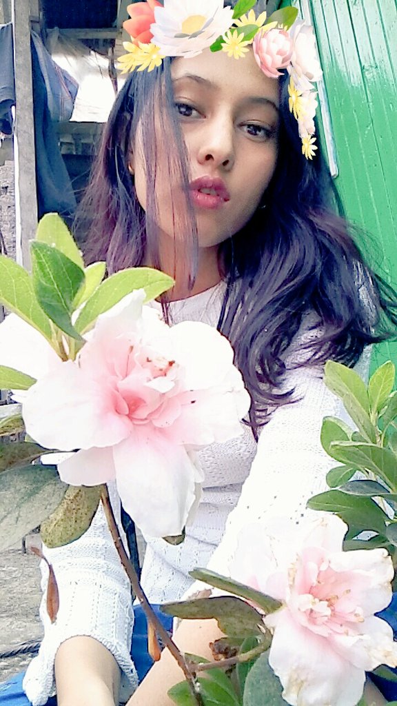 Flower 🌼🌼🌼
