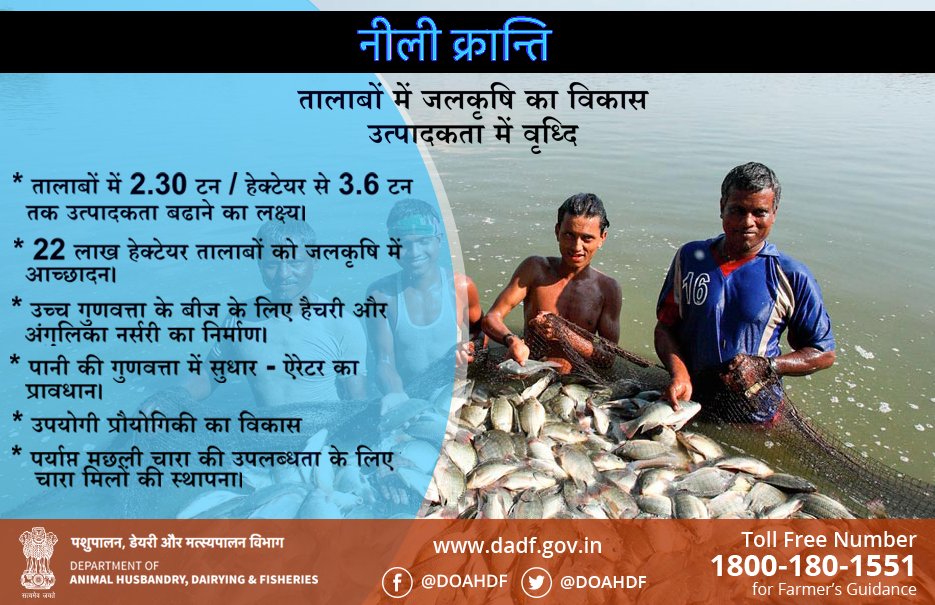 Dept_of_AHD's tweet photo. तालाबों में जलकृषि का विकास तथा मछली उत्पादकता में वृध्दि।
#BlueRevolution #fisheris #fish #fisherman #DADFIndia https://t.co/SpCE8uB65z