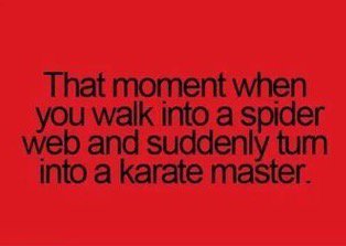 SimplyWendy (@simplywendyk) on Twitter photo 