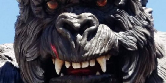 #didyouknow Kink Kong is coming to Tunisia and will be world’s biggest animatronic figure! #kinkong  #coming #hammamet #Tunisia